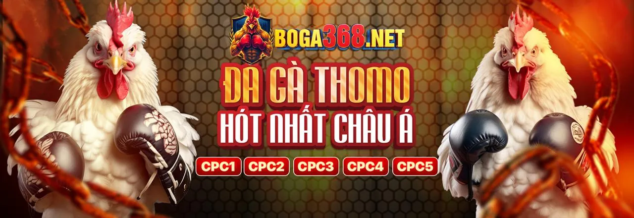 Sân đấu đá gà trực tuyến sôi động tại 79 Club