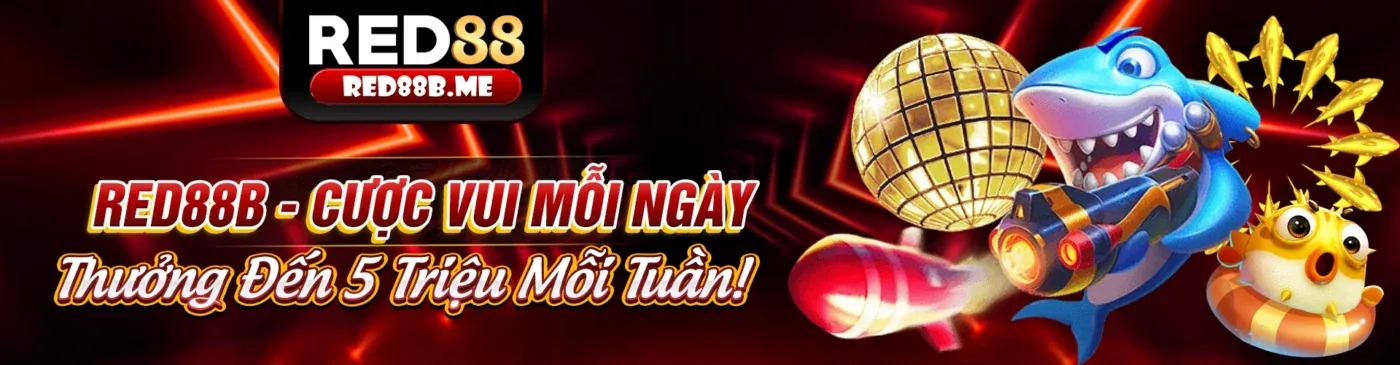 Hình ảnh chủ đạo của Blog 79 Club